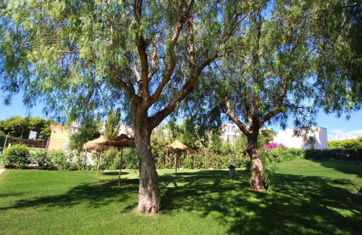 Sweetwater Home - Apartamento Ideal Para Tus Vacaciones El Campillo del Moro Kültér fotó